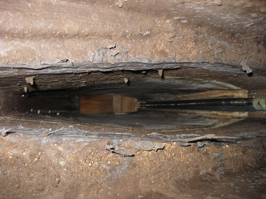 Ansicht Kielkasten von unten.jpg