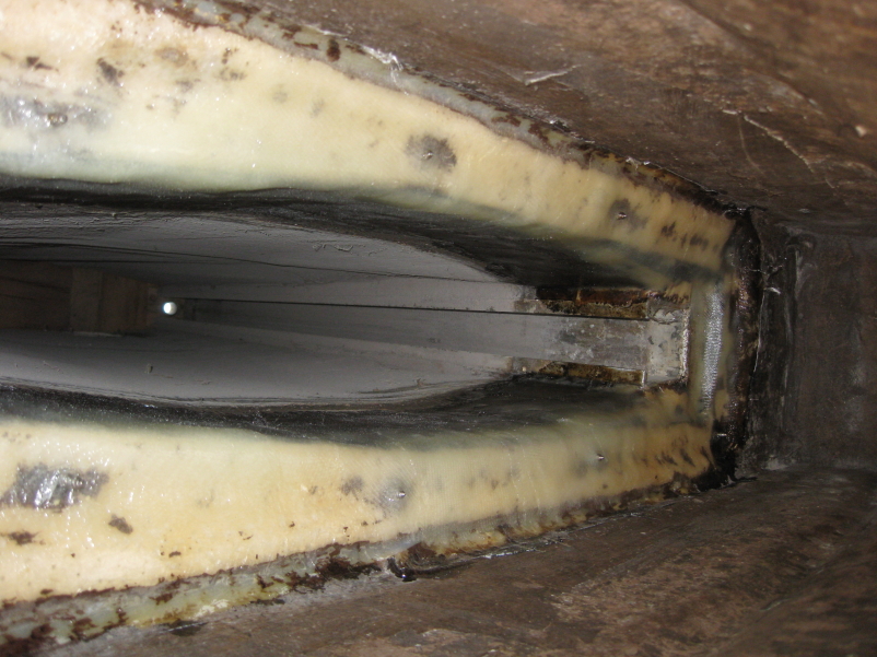 Kielkasten innen Bugseite laminiert.jpg