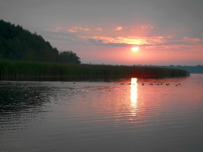 Sonnenaufgang am Schwielowsee