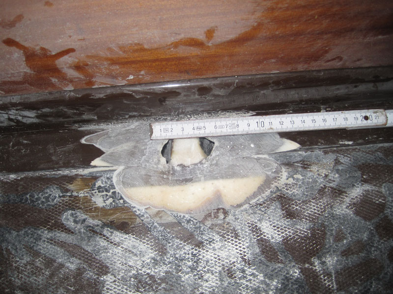 Verstärker bemaßt.jpg