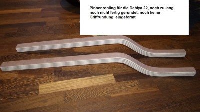 Dehlya Pinne roh 4.jpg