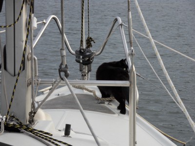 SDC10982.JPG (4.8 MiB) 16038 mal betrachtet Unser Ausguck ist ne Schwarze ;)