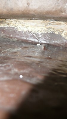 geöffneter Ballsttank Blickrichtung nach Backbord2.JPG