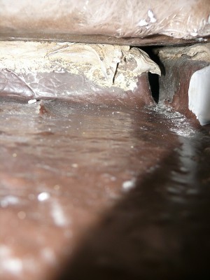 geöffneter Ballsttank Blickrichtung nach Steuerbord.JPG