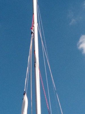 mast1.1