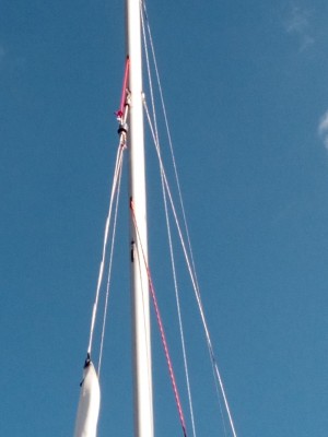 mast1