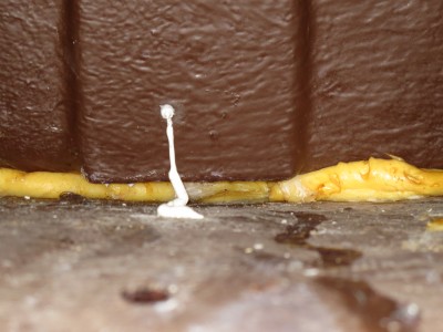 Undichte Nahtstelle auf etwa 10 cm.