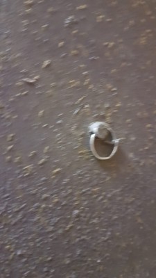 IMG-20181118-WA0009.jpg (76.67 KiB) 4893 mal betrachtet Auf der anderen Seite mit Ring gesichert