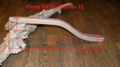 Dehlya 22 Schmidt-bemaßt.JPG